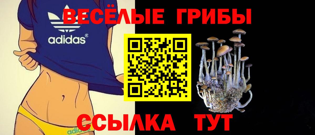 Псилоцибиновые грибы мицелий Сокол